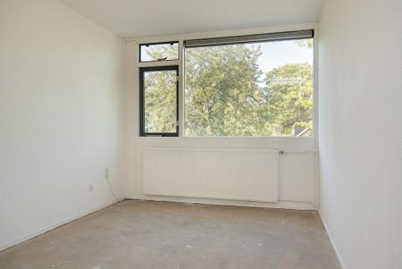 Rumpler, 6, Soesterberg - Photo 5