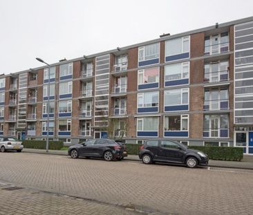 Buizenwerf 0ong, 3063 AZ Rotterdam, Nederland - Foto 3