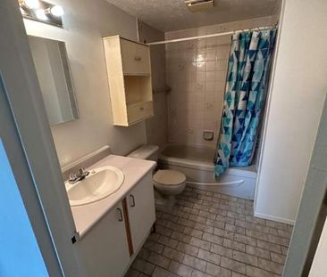 GRAND ET LUMINEUX 4.5 DISPONIBLE 15 NOVEMBRE - Photo 3