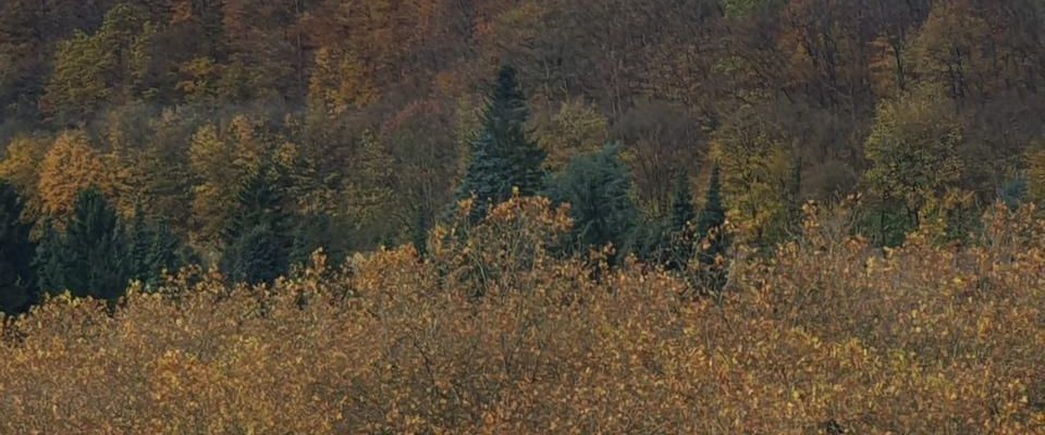 Helle und schöne Wohnung 100 m² mit EBK inkl. in Miete - Foto 1