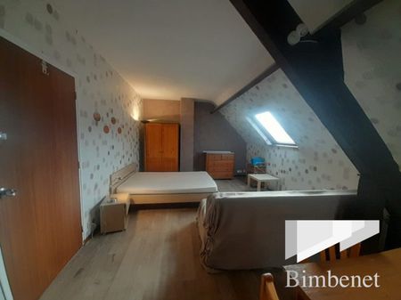 Appartement à louer, 1 pièce - Olivet 45160 - Photo 5