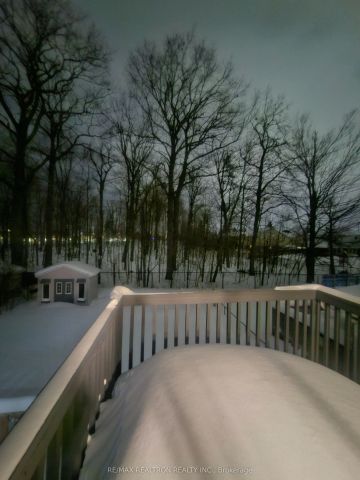 11 Finlay Road #Main - Photo 4