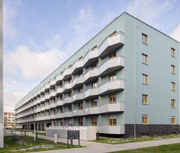 Gemütliche Seniorenwohnung ab 65 Jahren - Ohne WBS - Photo 1