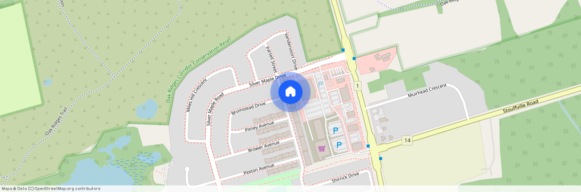 137 Windrow Street, Richmond Hill