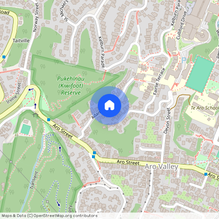 28A Adams Terrace, Aro Valley, Wellington City