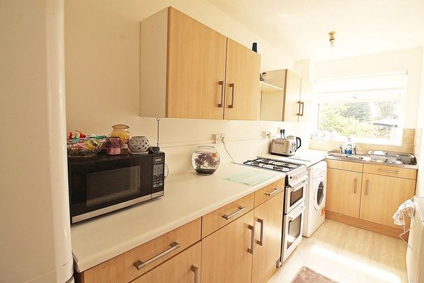 1 bedroom cluster house to rent - Photo 1