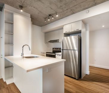 1 Bedroom - 1230 Av De La Croisée, Terrebonne - Photo 1