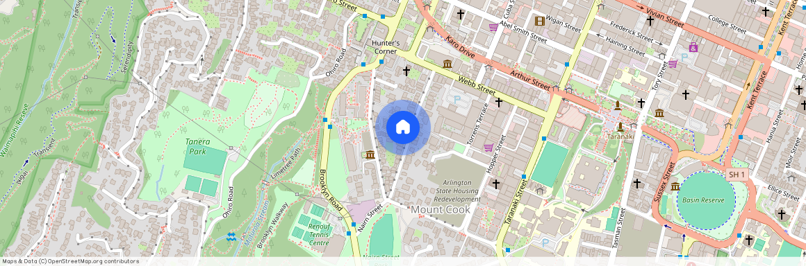 46A Thompson Street, Mount Cook, Wellington