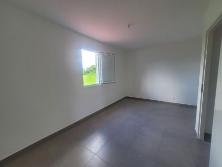 Duplex/Triplex - Photo 4