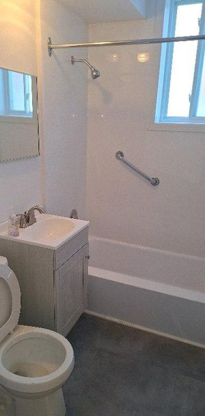 grand 3,5 +1 piece 8x9,RÉNOVÉ 3PLEX VIEUX-LONGUEUIL - Photo 1