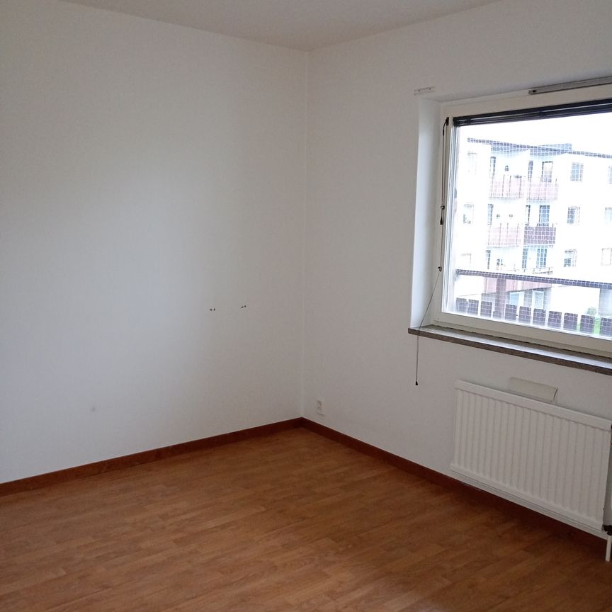 Ekbacken, Asarum - Foto 1