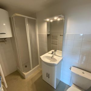 Location Appartement 1 pièce 17m² GRENOBLE 38000 - Photo 3