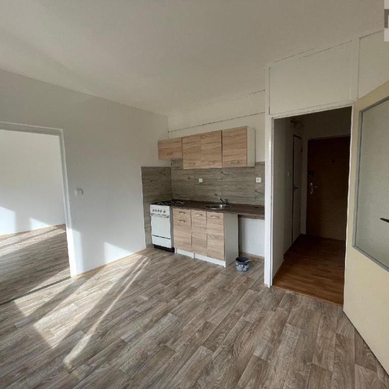 Pronájem bytu 1+1 35 m2 - Photo 1