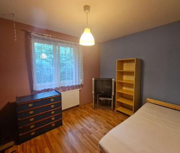 Dom Ozorków Sokolniki-Las powierzchnia 150.0 m² C317-WD-98523 - Photo 5