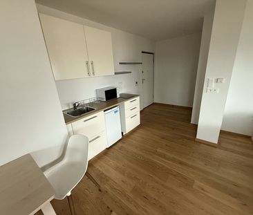 Location Appartement 1 pièce 33m² STRASBOURG 67100 - Photo 3