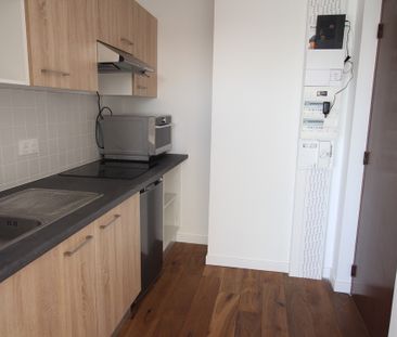 Appartement T1 avec terrasse loué Meublé avec cave et parking - Photo 3