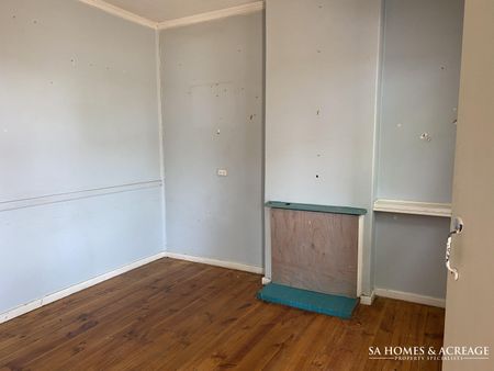 35 Wilkins Road, Elizabeth Downs SA 5113 - House For Rent | Domain - Photo 4