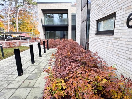 Nybygget og rummelig 3-værelses lejlighed i fantastiske omgivelser - Photo 5