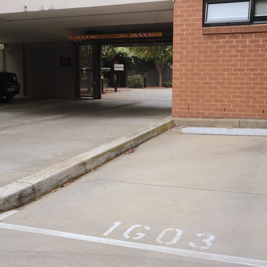 A Parkville Apartment to Remember - Photo 1