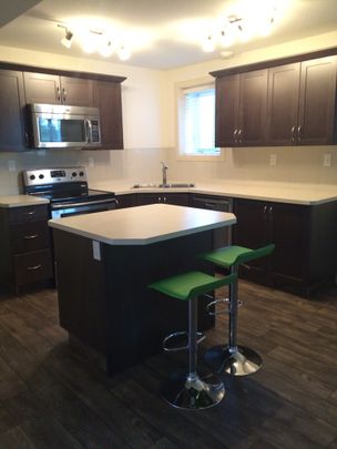 Basement Suite! Pet Free! Near RDC and Hospital! - Photo 1
