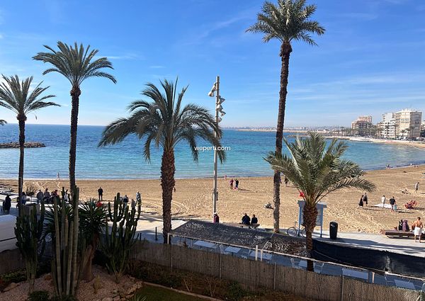 Apartment in Torrevieja, playa del cura, for rent