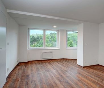 Pronájem bytu 1+kk • 29 m² bez realitkyViniční, Brno - Židenice, Ji... - Photo 1