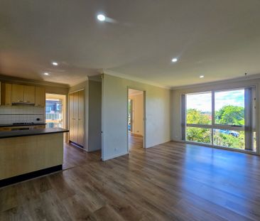 Charming Renovated Home with Stunning Outdoor Entertaining - Photo 1