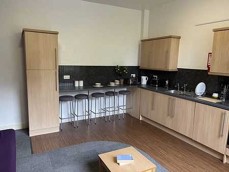 Fenham Hall Drive, Newcastle NE4 9YH, UK - Photo 4