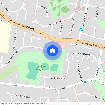 39 Summerfield Ave, NSW 2763, Quakers Hill