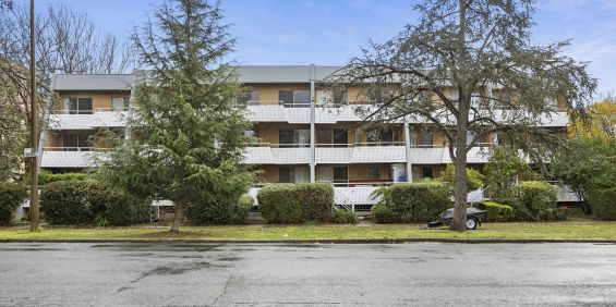2 bedroom apartment in the Prime of Kingston - Photo 3