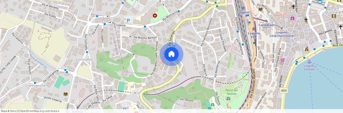 via Sorengo 25, 6900 Lugano