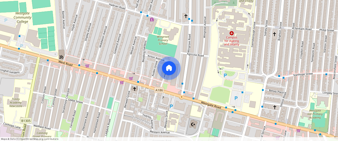 Lewis Drive, Newcastle upon Tyne NE4