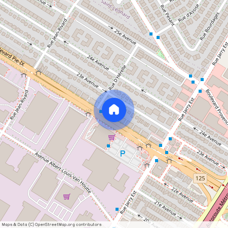 8231 Boulevard Pie-IX, Montréal, QC