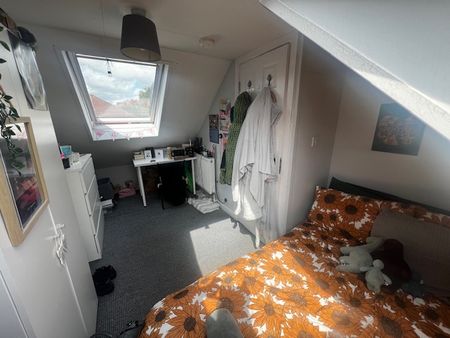 Ash Crescent - Photo 5