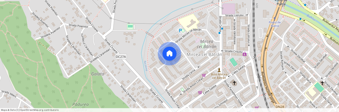 Mircea cel Batran, Iasi