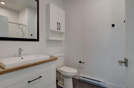 5125, boul. René-Lévesque #103, Sherbrooke (Rock Forest | St-Élie) - Photo 4