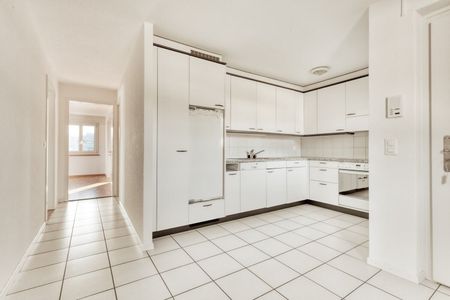 Living next to the Schüssinsel - Vivre près de l'île de la Suze - Foto 2