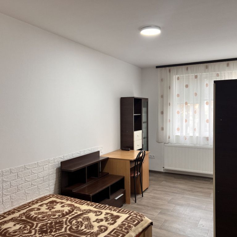 Garsoniera spatioasa renovata Lazaret Compa str Otelarilor - Fotografie 1