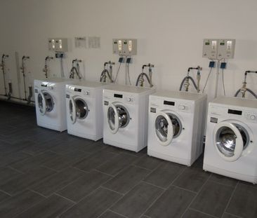 Ein Katzensprung zur HTW Dresden - Appartment nahe dem Hauptbahnhof - Photo 6