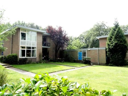Studio Schoolweg, Austerlitz - À Louer - Photo 5