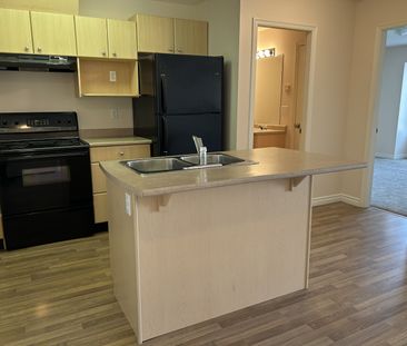 JENNA LEE - 301 - JL301 - Photo 6