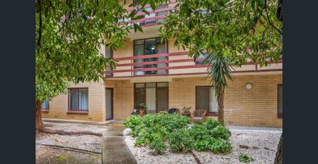 THE PERFECT CITY PAD - YOUR INNER-URBAN LIFESTYLE STARTS HERE! - Photo 3