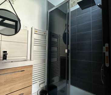 Location Appartement 1 pièce 13m² - Photo 6