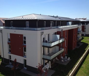 COLMAR PROCHE CENTRE - Photo 4