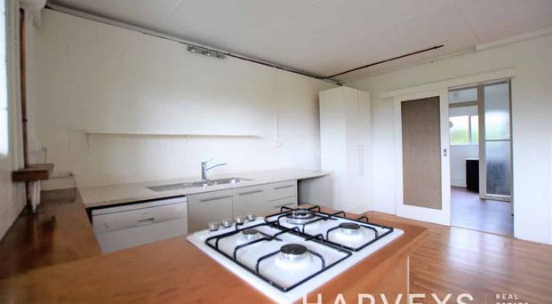 62 Shetland Flat - Photo 1