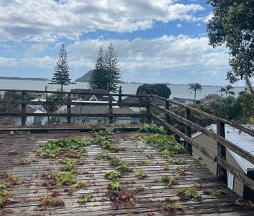 Affordable living in a prime location - Photo 4