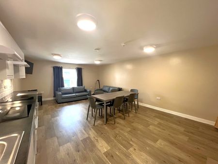 6 Bed Flat, Stokes Croft, BS1 - Photo 3