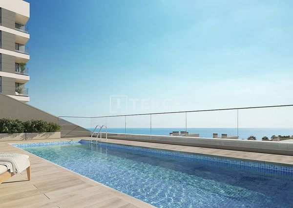 Badalona, La Morera, Barcelona, Catalonia 08918