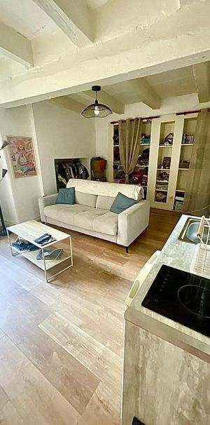Location Appartement 1 pièce 23m² GAILLAC 81600 - Photo 1