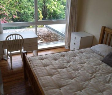 4 bedroom house share to rent - Photo 3